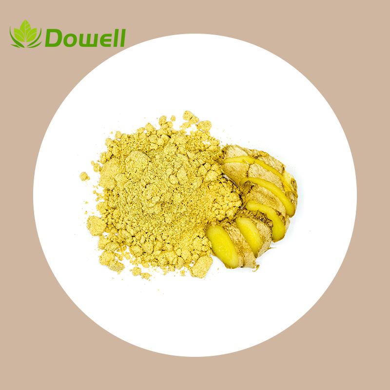 Ginger Root Extract Powder